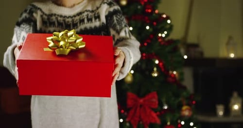 Person Holding Festive Christmas Gift Near Tree