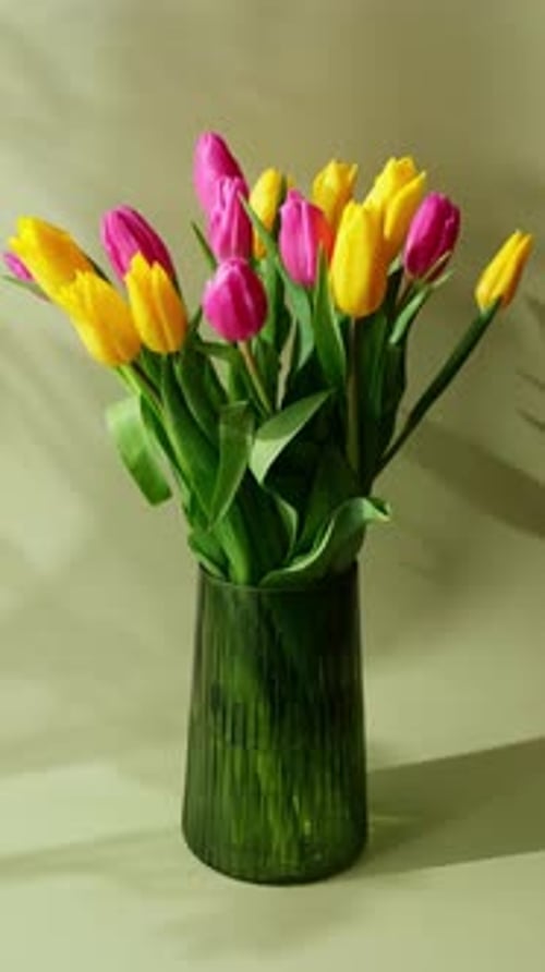 Colorful Tulips in Green Glass Vase, Springtime
