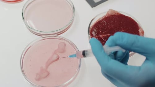 Gloved Hand of Researcher Injecting Plant-Based Serum in Stem Cells