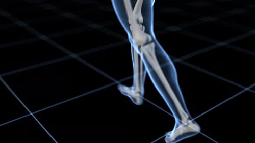 Menschliche Skelettbeine, die in einer 4K-Motion-Graphics-Schleife laufen