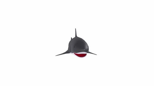 Animated 3D Shark Rotating Loop on White Background