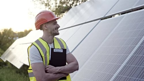 Engineer Watching Row of Solar Panels