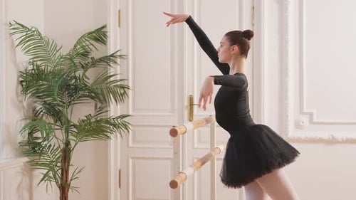 Elegant Ballerina Practices at Barre in Bright Studio