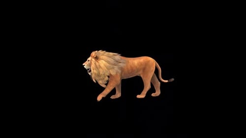 Brown Lion Walk
