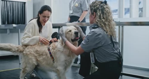 Airport Terminal Female Security Officer Inspecting Dog Scanning with Metal Detector