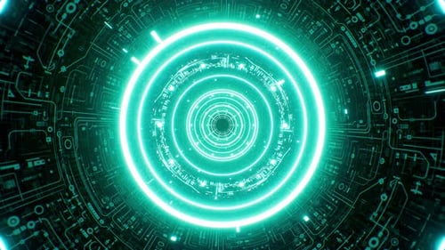 Circuit Portal Vj Loop