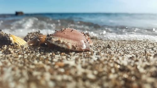 Slow Motion Footage of Sea Splashing on Shells and Pebbles