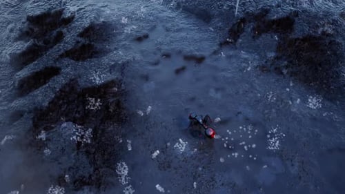 Ant walk in Rainy Day