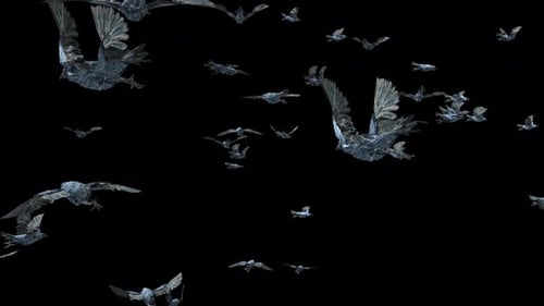 Animated Crystalline Flock of Birds Flying with Transparency