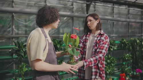 Florist Helping Customer Choose Flower in Greenhouse