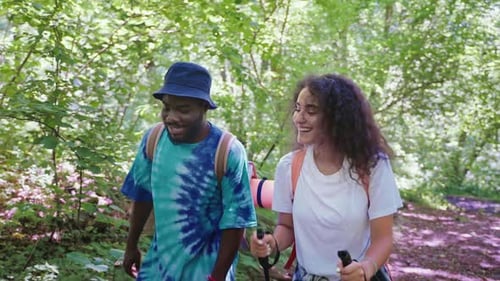 Happy Man and Woman with Sticks Trekking Hiking Talking in Forest
