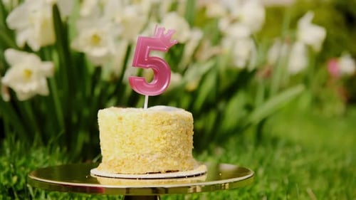 Cute Birthday Cake with Pink Number Five Candle