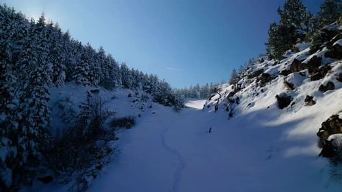 Verschneite Berge, Straßen, Pinienwälder und herrliche Landschaften