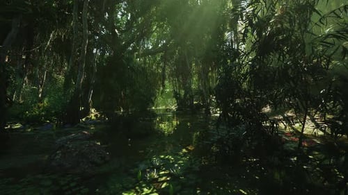 Serene Swamp Filled with Mossy Trees and Shimmering Water Surfaces