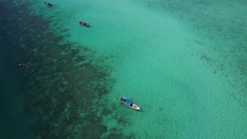 Footage of tourist snorkeling diving and tourism long-tailed boats float on the sea.