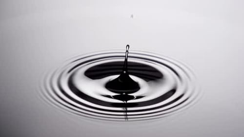 Dark Liquid Drop Creates Ripples on Gray Surface