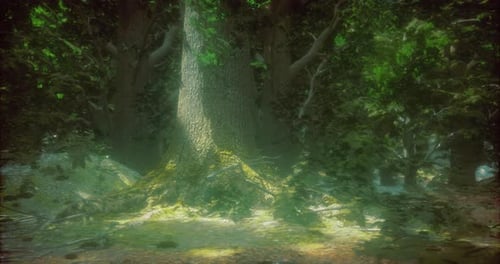 Majestic Tree in a Serene Forest Glade Surrounded By Lush Greenery
