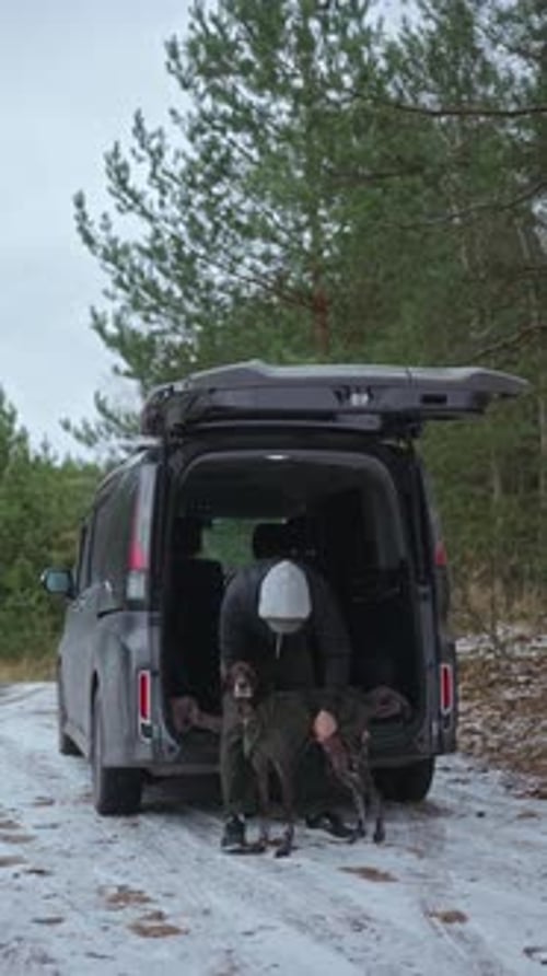 Vertical Video a Joyful Dog Ran Out for a Walk in a Wild Winter Forest