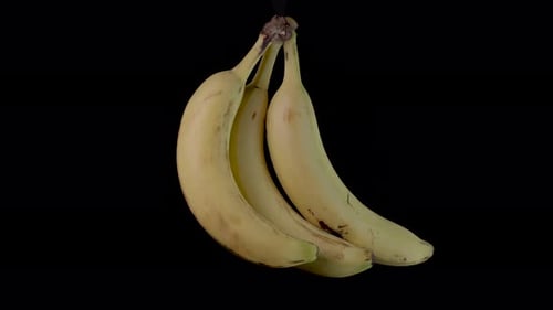 Rotating Bunch of Yellow Bananas on Black Background