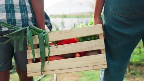 People, hands and groceries crate on farm, carrying produce and teamwork with organic agriculture