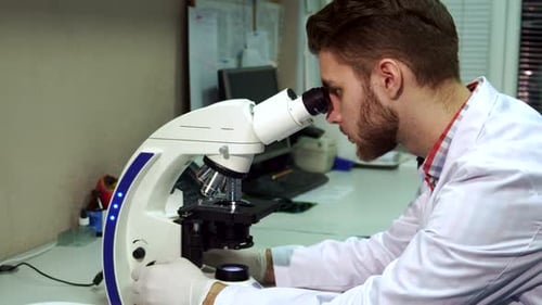 Young Scientist Works with Microscope in a Laboratory