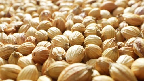 Coriander seeds, derived from the coriander plant, offer a warm.