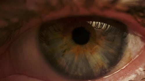 Macro Shot of Human Brown Blue Eye with Visible Iris Texture
