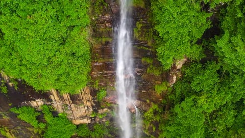 Aerial View of Tropical Waterfall Surrounded by Greenery