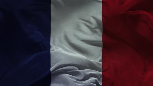 Waving French Flag Vertical Fabric Motion Loop