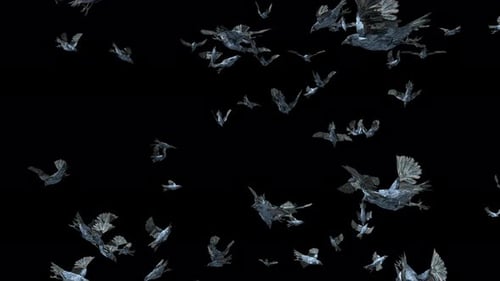Animated Flying Flock of Glacial Birds Loop