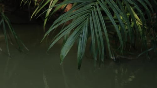 the beauty of the river with a natural background