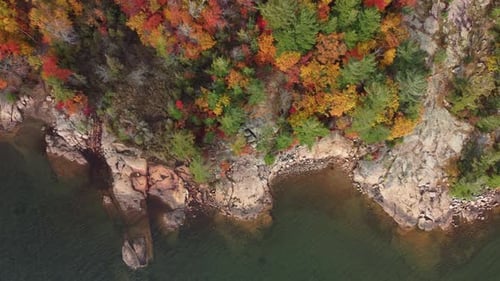Overhead View Of Colored Foliage In Autumnal Forest At The Rocky Shoreline. Aerial Tracking Shot
