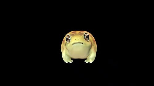 Rainfrog Front Idle