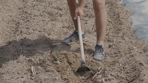 Detail Shot of a Man with a Hoe Plowing the Land in an Ecological Farm