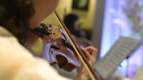 Closeup Back View of Unrecognizable Female Violinist Playing Violin at Classical Music Concert