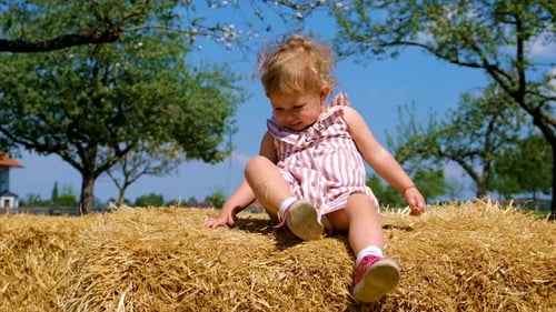 Happy Child Plays on Hay Bale in Summer