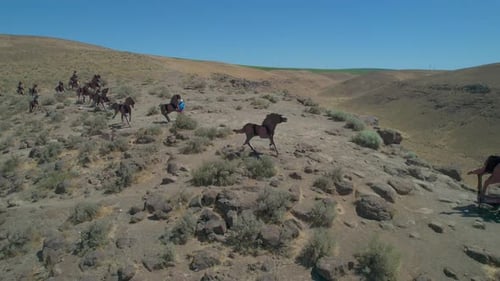 Drone video of Wild Horses Monument at Columbia River Gorge, Central Washington
