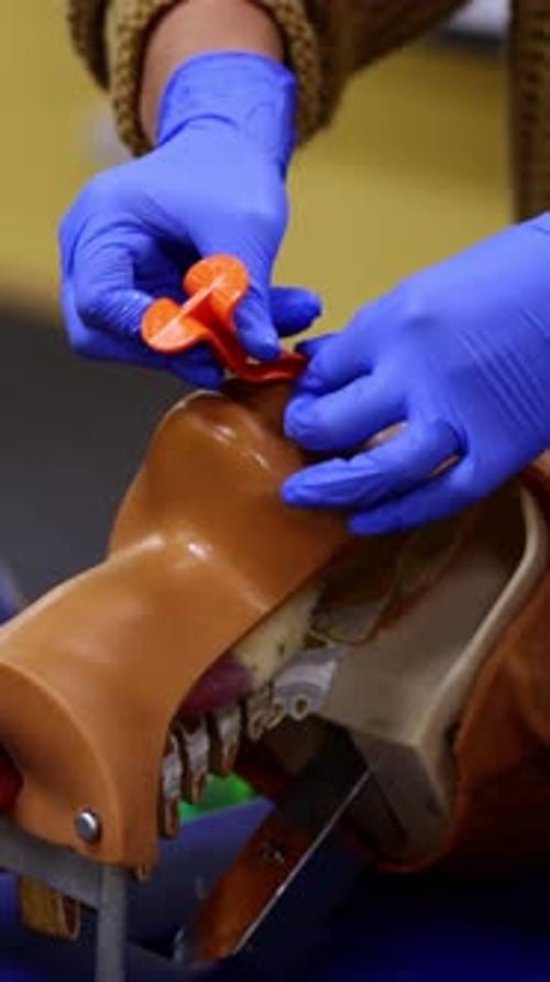 Medical Professional Working with Mannequin Anatomy Model
