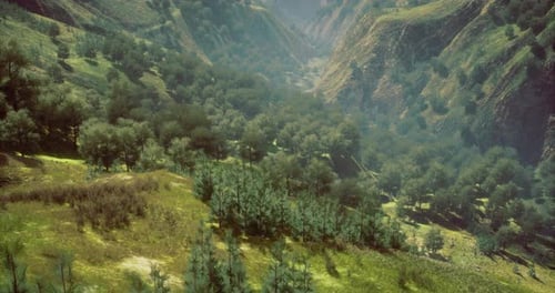 Vale majestoso cercado por uma vegetação exuberante em uma paisagem serena