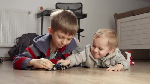 Brothers Play Together with Toy Cars on Floor