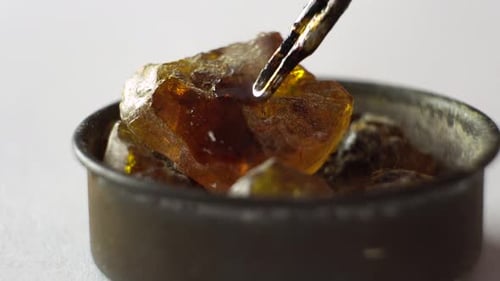 Tweezers grab a chunk of amber resin