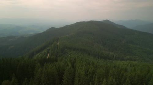 Flying Over Green Forest at Cloudy Day with the Mountains on Horizon with Glowing Clouds Carpathian