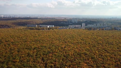 Vue aérienne sur la forêt d'automne ensoleillée dans le paysage urbain