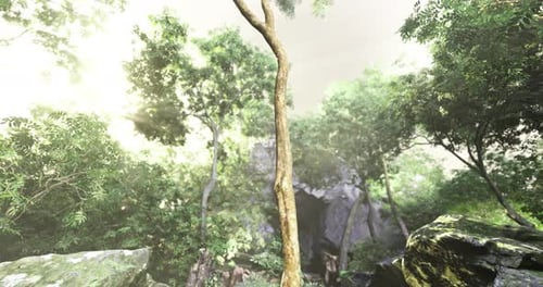 Exploration d'une forêt vibrante avec la lumière du soleil filtrant à travers le feuillage