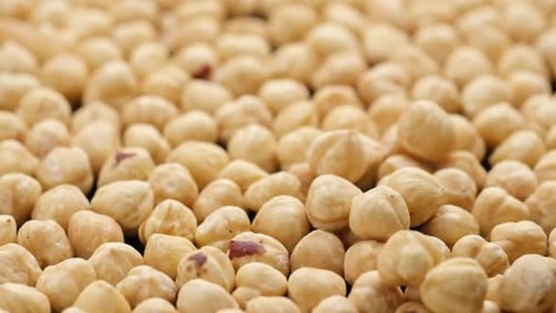 Hazelnuts Falling and Filling the Frame