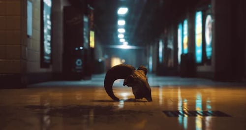Strange Horned Object Found in Eerie Hallway of Abandoned Building at Night