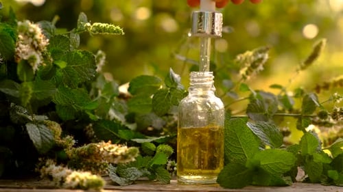 Mint Essential Oil Being Poured into Bottle
