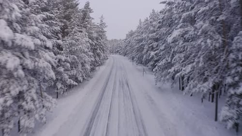 Aerial Footage of Road in Winter Forest Landscape