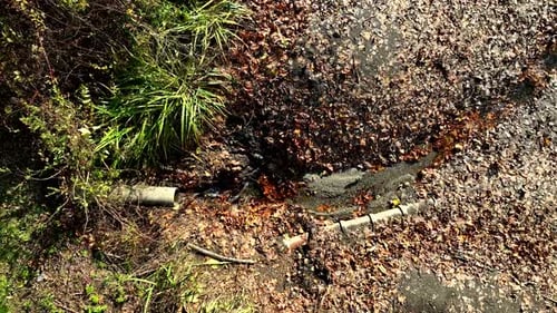 Autumn Leaves Surrounding Water Drain from Birds Eye