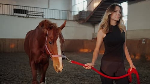 Woman Walks Horse in Dusty Indoor Arena